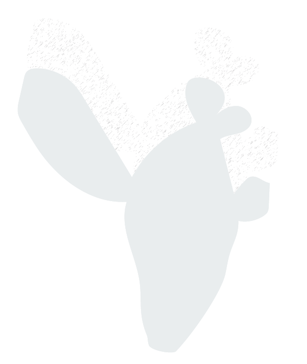 montse collado - nlp coach